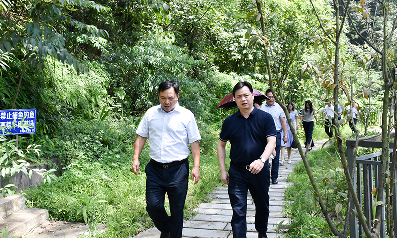 省总工会宣教部部长陈君一行到杏彩平台官网，杏彩体育官网连界基地调研(图1)